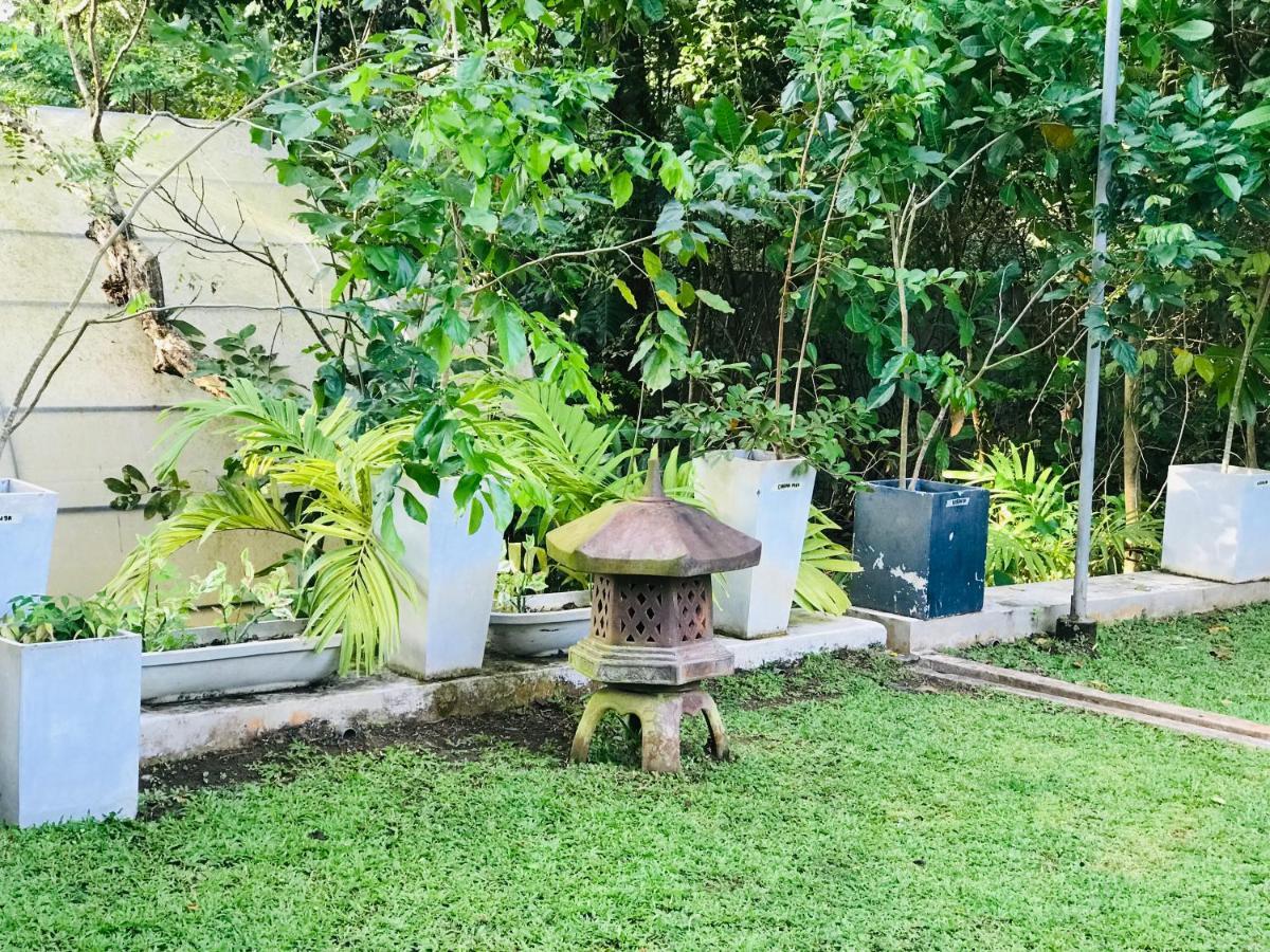 Ceylon Kingsmen Garden Hotel - Katunayake Negombo Kültér fotó
