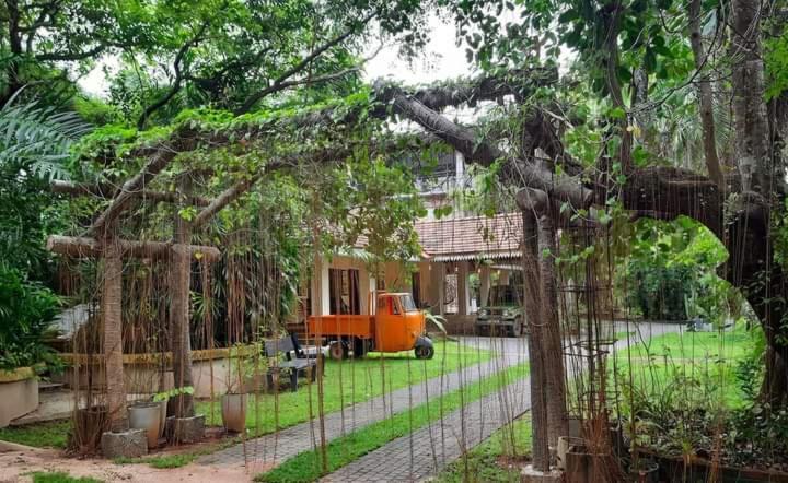 Ceylon Kingsmen Garden Hotel - Katunayake Negombo Kültér fotó