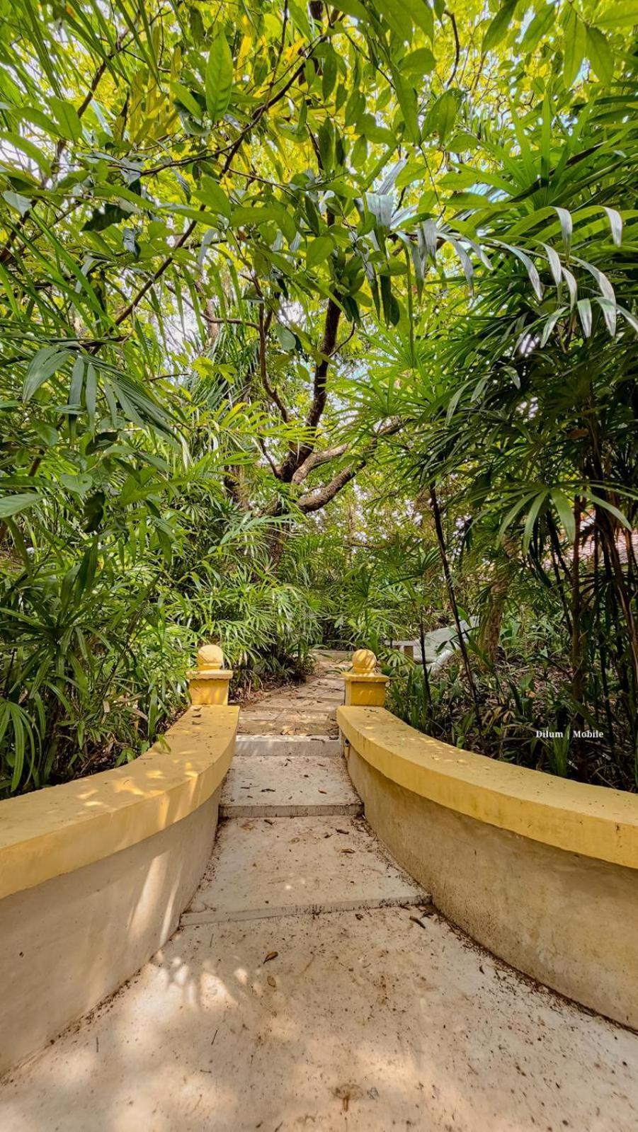 Ceylon Kingsmen Garden Hotel - Katunayake Negombo Kültér fotó