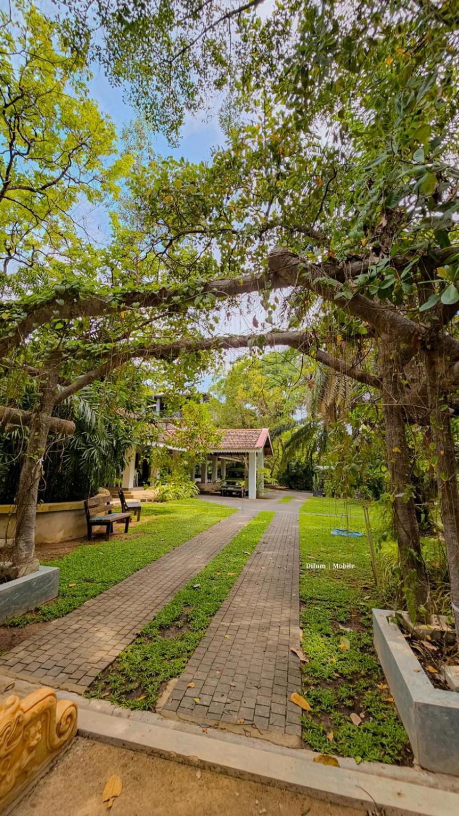 Ceylon Kingsmen Garden Hotel - Katunayake Negombo Kültér fotó